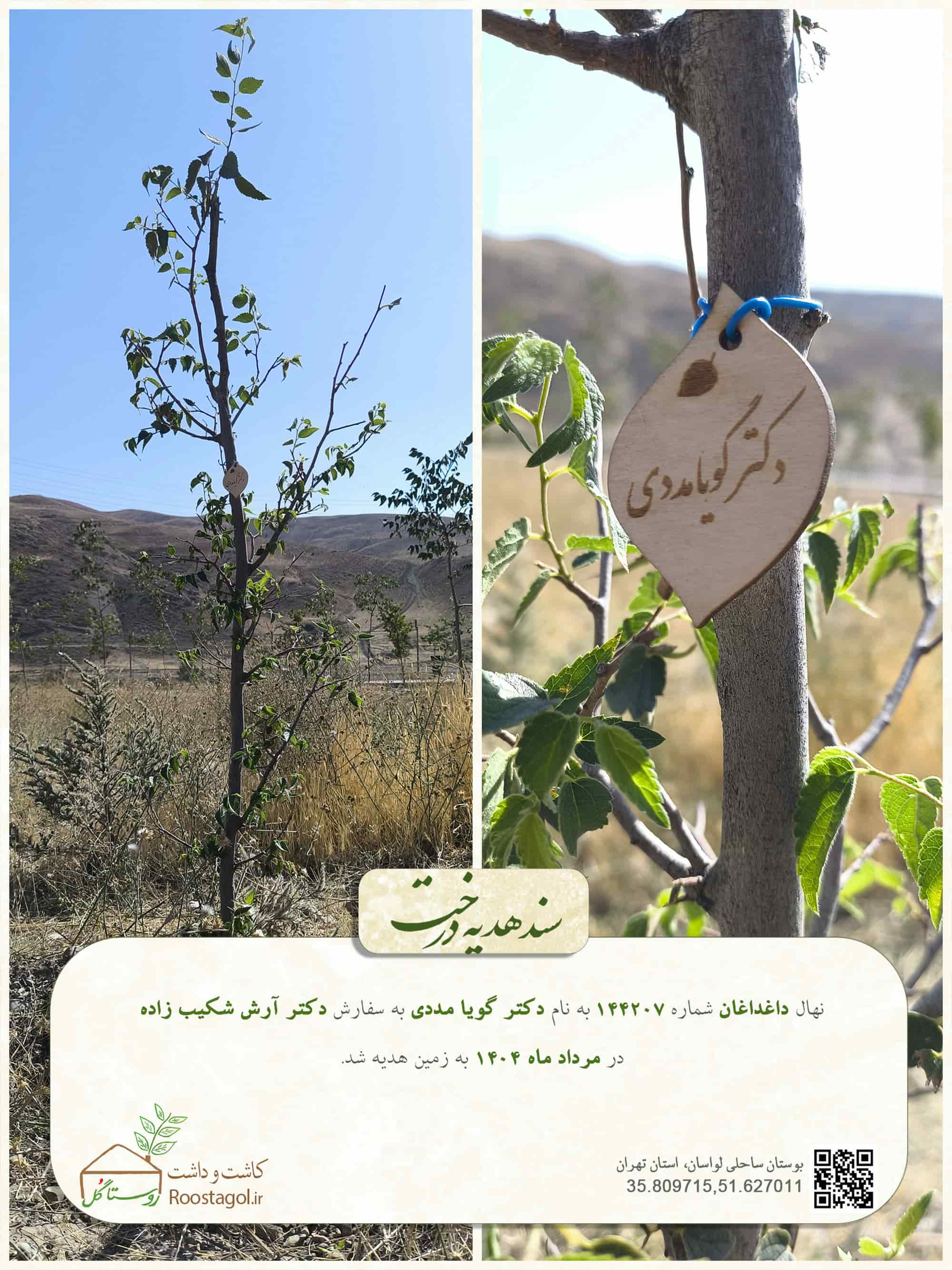 دکتر گویا مددی